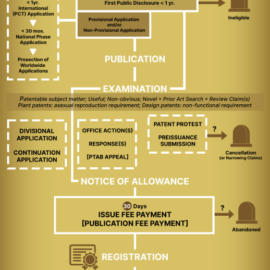 Patent lifecycle infographic