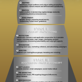 to the moon infographic